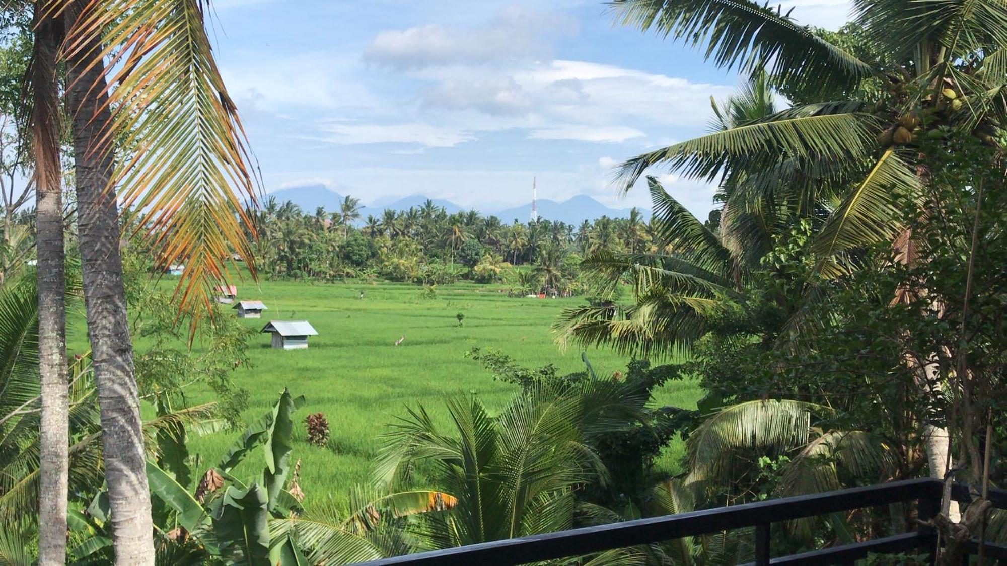 The Shea Ubud Tranquility Villa With Private Pool Exterior photo